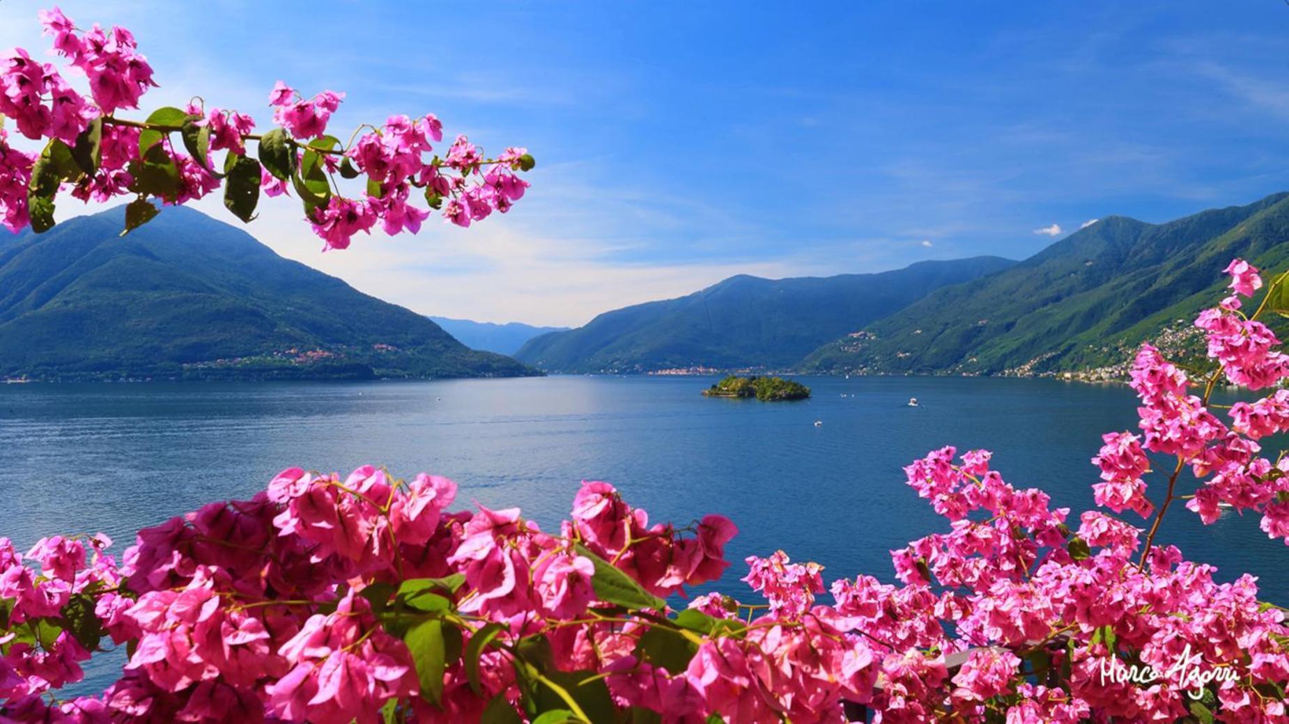 Charme Hotel Al Torchio Ascona Extérieur photo